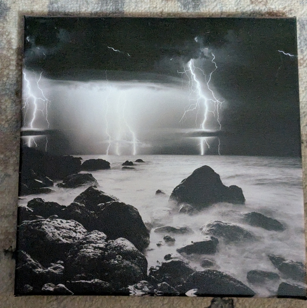 Black and White Lightning Canvas Art
